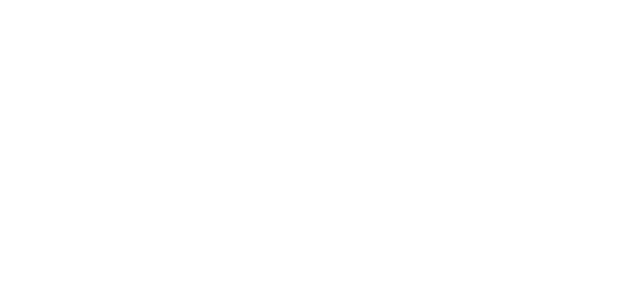 Dr. Lorneka | Motivational Speaker And Wellness Coach